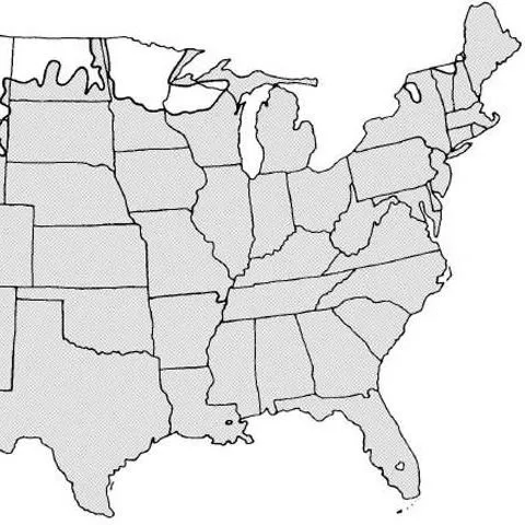 thumbnail for publication: Calendula officinalis Calendula, Pot Marigold